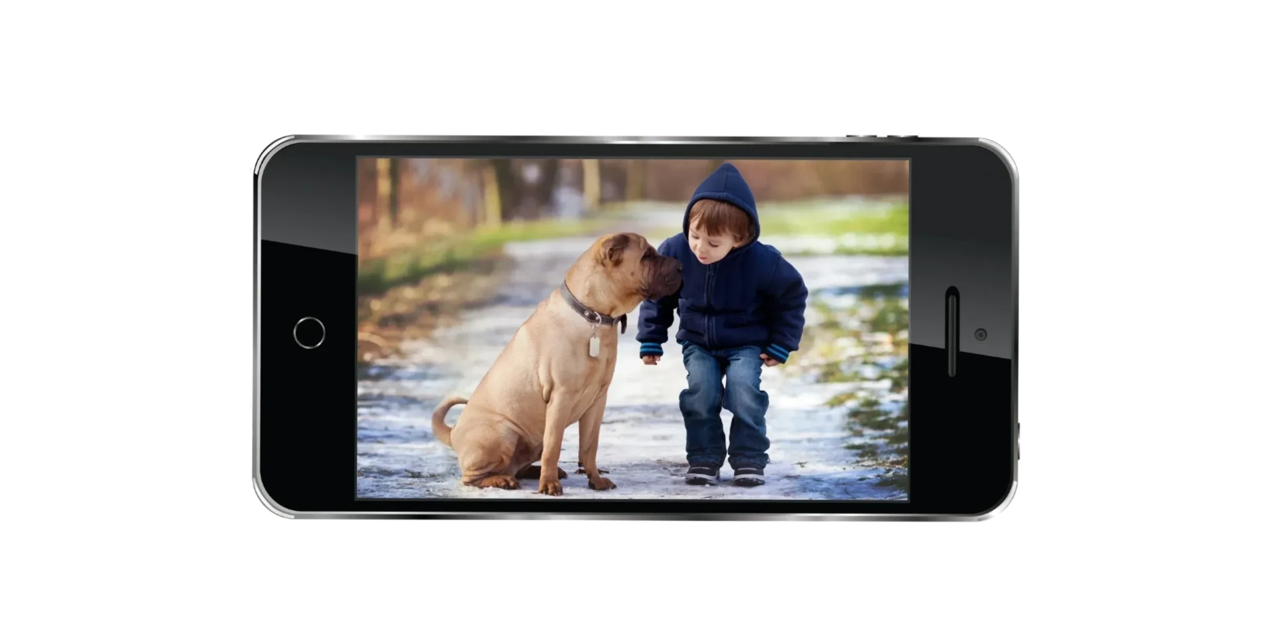 Pet Family Participatory Check Sheet